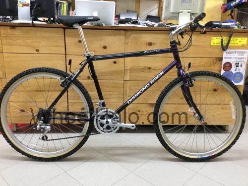 Diamondback Ascent EX fiche technique et avis